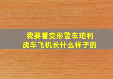 我要看变形警车珀利战车飞机长什么样子的