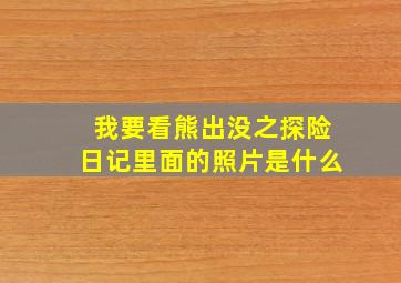 我要看熊出没之探险日记里面的照片是什么