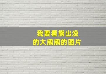 我要看熊出没的大熊熊的图片