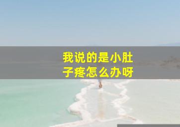 我说的是小肚子疼怎么办呀