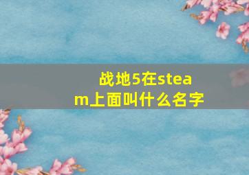 战地5在steam上面叫什么名字