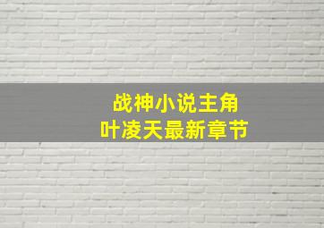 战神小说主角叶凌天最新章节