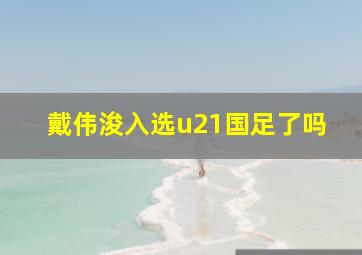 戴伟浚入选u21国足了吗