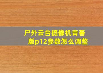 户外云台摄像机青春版p12参数怎么调整