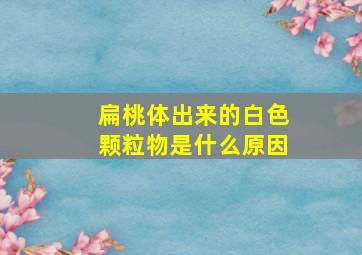 扁桃体出来的白色颗粒物是什么原因