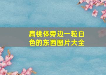 扁桃体旁边一粒白色的东西图片大全