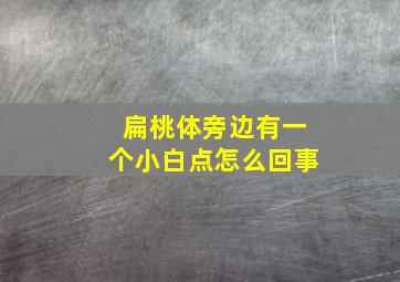 扁桃体旁边有一个小白点怎么回事