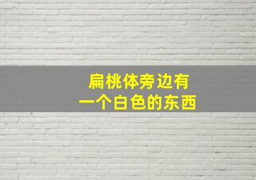 扁桃体旁边有一个白色的东西