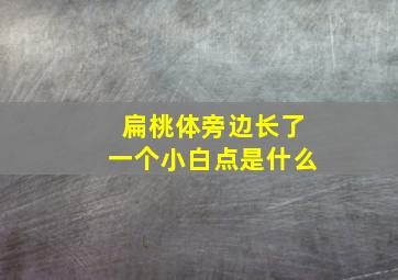 扁桃体旁边长了一个小白点是什么