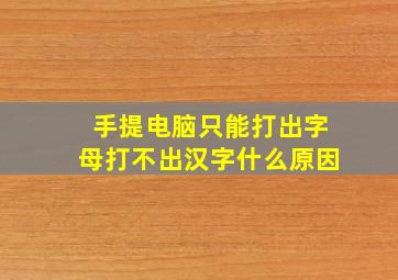 手提电脑只能打出字母打不出汉字什么原因