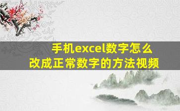 手机excel数字怎么改成正常数字的方法视频