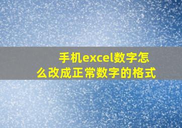 手机excel数字怎么改成正常数字的格式