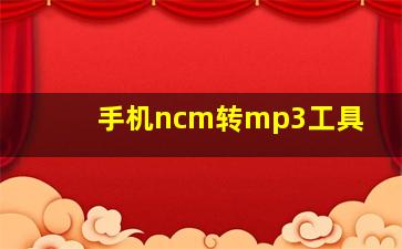 手机ncm转mp3工具