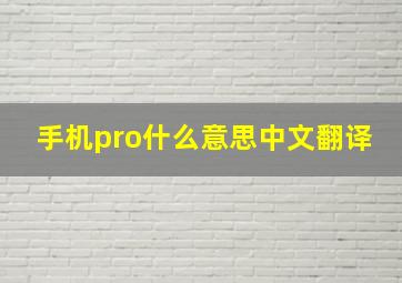 手机pro什么意思中文翻译