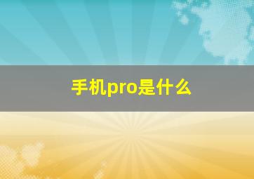 手机pro是什么