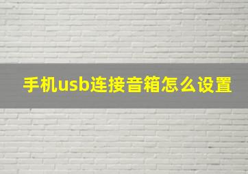 手机usb连接音箱怎么设置