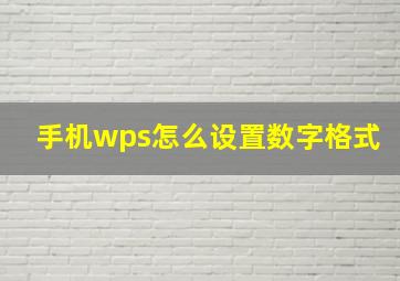 手机wps怎么设置数字格式