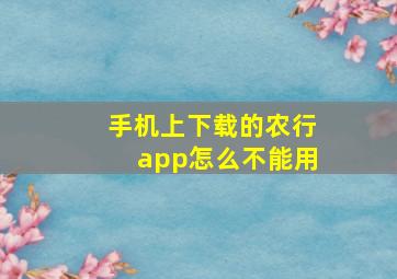 手机上下载的农行app怎么不能用