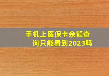 手机上医保卡余额查询只能看到2023吗