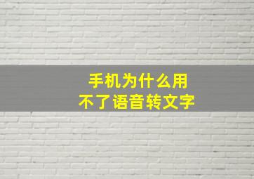 手机为什么用不了语音转文字