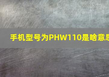 手机型号为PHW110是啥意思