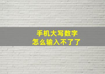 手机大写数字怎么输入不了了