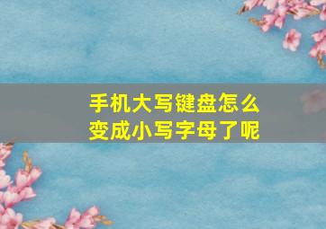 手机大写键盘怎么变成小写字母了呢