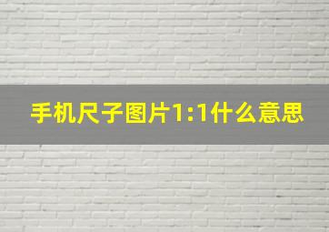 手机尺子图片1:1什么意思