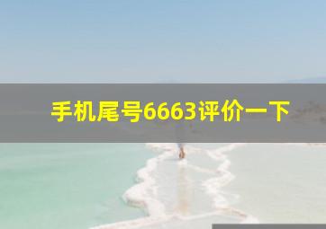 手机尾号6663评价一下