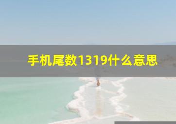 手机尾数1319什么意思