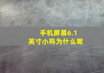 手机屏幕6.1英寸小吗为什么呢