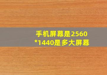 手机屏幕是2560*1440是多大屏幕