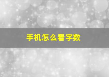 手机怎么看字数