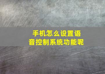 手机怎么设置语音控制系统功能呢