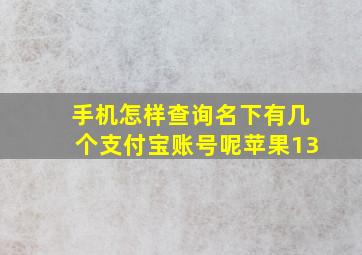 手机怎样查询名下有几个支付宝账号呢苹果13