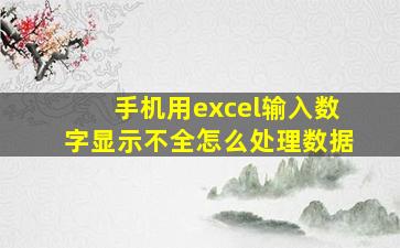 手机用excel输入数字显示不全怎么处理数据