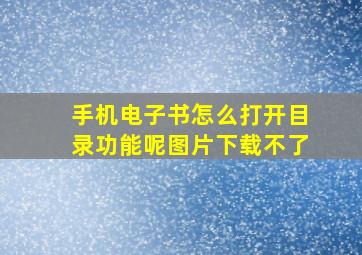 手机电子书怎么打开目录功能呢图片下载不了