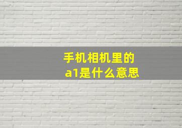 手机相机里的a1是什么意思