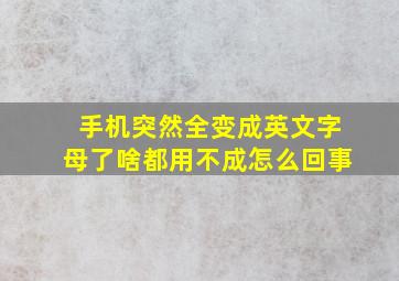 手机突然全变成英文字母了啥都用不成怎么回事