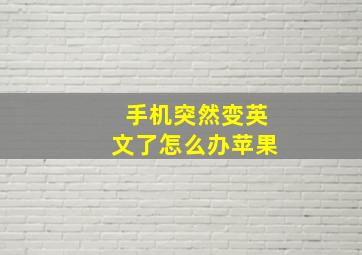 手机突然变英文了怎么办苹果