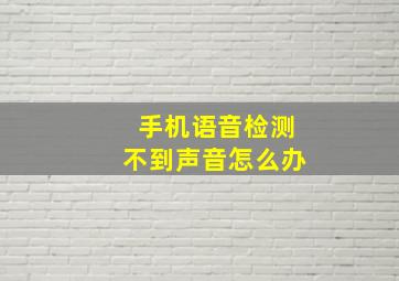 手机语音检测不到声音怎么办