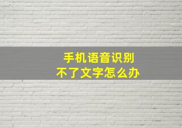 手机语音识别不了文字怎么办