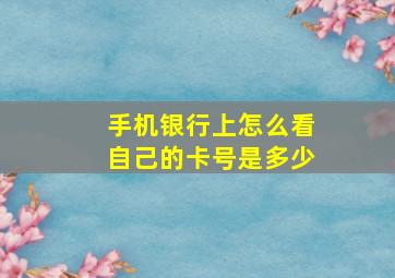 手机银行上怎么看自己的卡号是多少