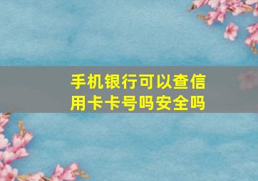 手机银行可以查信用卡卡号吗安全吗