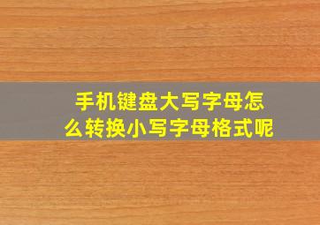 手机键盘大写字母怎么转换小写字母格式呢