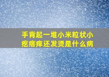 手背起一堆小米粒状小疙瘩痒还发烫是什么病