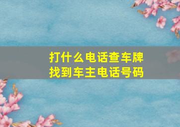 打什么电话查车牌找到车主电话号码