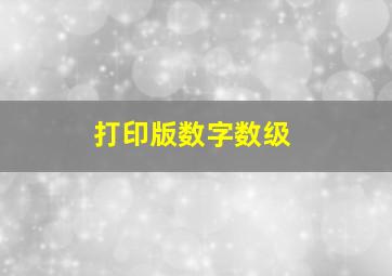 打印版数字数级