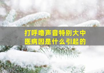 打呼噜声音特别大中医病因是什么引起的