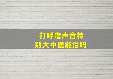 打呼噜声音特别大中医能治吗